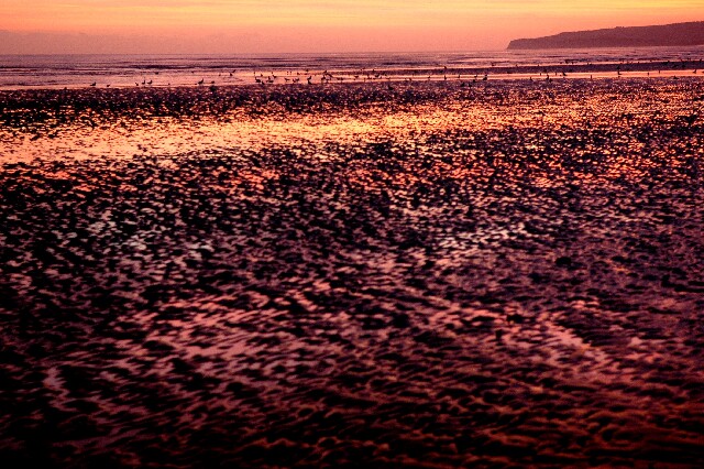 min 2007 11 25 camber plage 070